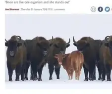 음지에서 흔히보이는 전개