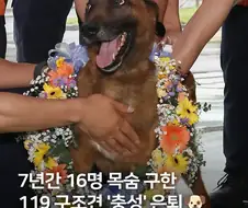 7년간 16명 구한 119구조견 은퇴