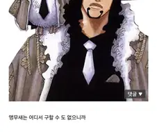 원피스)얼마나 출세하고 싶은지 감도 안잡히는 새끼