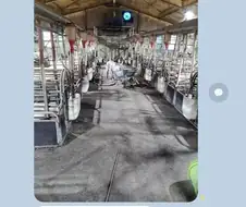 사료 도둑 검거함