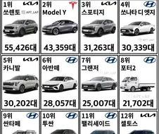 2026년 상반기 한국 자동차 판매 순위