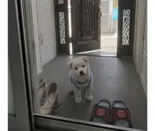 우리집 최고인 점