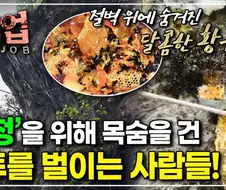 붉은사막)극한직업-붉은 사막-