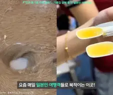 김의 뒤를 잇는 새로운 우리나라 전략자산.jpg