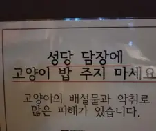 캣맘은 신부,수녀도 화나게 한다