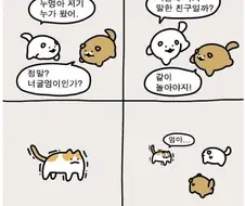 누멍이의 하루
