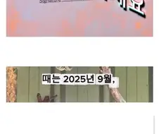 사진 공짜로 찍었다가 호주 명물이 된 한국인 커플.jpg
