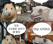 걱정이 너무 많으면 고깃집에 가라.jpg