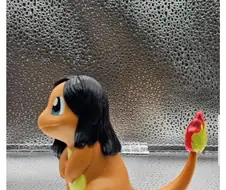 파이리를 닮았다는 아이돌.jpg