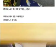 회덮밥이 먹고싶은 고양이