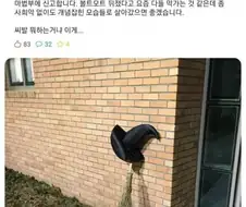 ? : 주차 이렇게 막 하지맙시다.