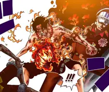 원피스) 정상결전 IF.gif