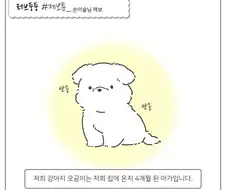 얼굴털이 다 밀려버린 아기 강아지의 사정.manhwa