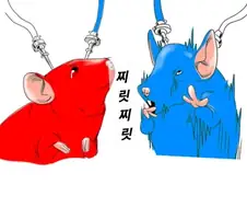 주식) 이럴때 어울리는 주식만화