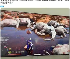 붉은사막) 코끼리 상아 구할려고 코끼리 학살하는 유저