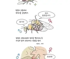 암컷에게 삽입당하는 수컷 만화.manwha