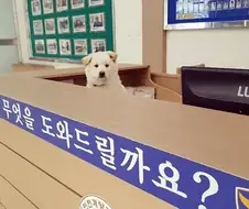 아무것도 도움 안 되는 경찰