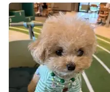 편견 없는 대한민국.jpg