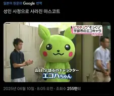어른의 사정으로 퇴출된 지자체 마스코트