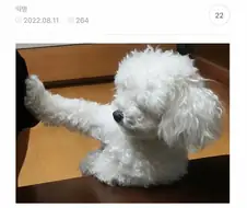 우리 뭐 먹을때 자기도 달라고ㅋㅋ