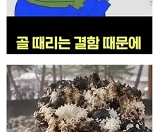 전설의 43톤가마솥 삼층밥사건