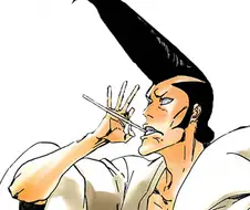 블리치)초대 호정 13대로 추정 되는 애들