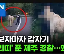 진짜 우리나라 언론사 제주 경찰수준