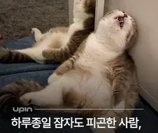 하루종일 자도 피곤한 이유