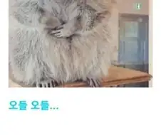 마따끄...또 싸우는거야?