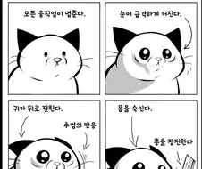 고양이의 공격 시그널.jpg