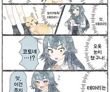 [@] 고양이가 된 코토네