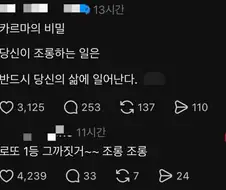 조롱의 마법