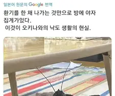 오키나와의 현실