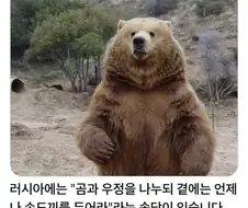 곰에 대한 러시아 속담