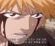 쭈인님 왜 자꾸 평타를 필살기처럼 외치냐구요.img