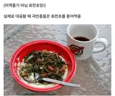 의외로 식용가능 식물