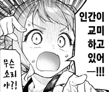 솔직히 살면서 색스 해본 놈들 얼마나 되냐?