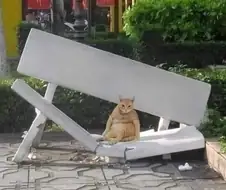 삶이 그대를 속일지라도