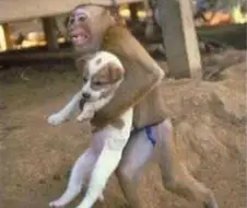 (ㅎㅂ) 소년 만화 Vs 성인 만화