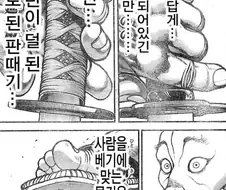 어떤 만화의 일본도