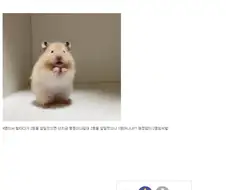 2등 앞질렀으면 1등 아니냐 ㅅㅂ.jpg