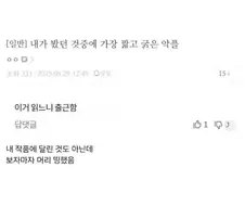 독자가 할수있는 최고수위의 욕중 하나