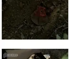 미스터리한 검은색 티셔츠의 비밀.jpg