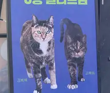 ??? : 우리 헬스장으로 오세요