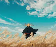 요루시카 - 물떼새