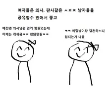일부 다처제는 개이득이라는 만화 甲
