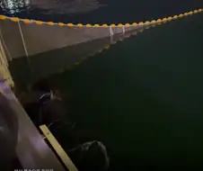 부캉이 : 히히!!! 아직도 나지롱!!