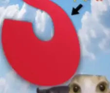 터질듯한 빅에스?!