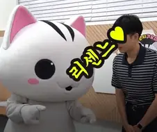 리센느가 좋은 고양고양이