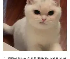 "원숭이 아저씨, 정액 싸재낄땐 좋았어?"